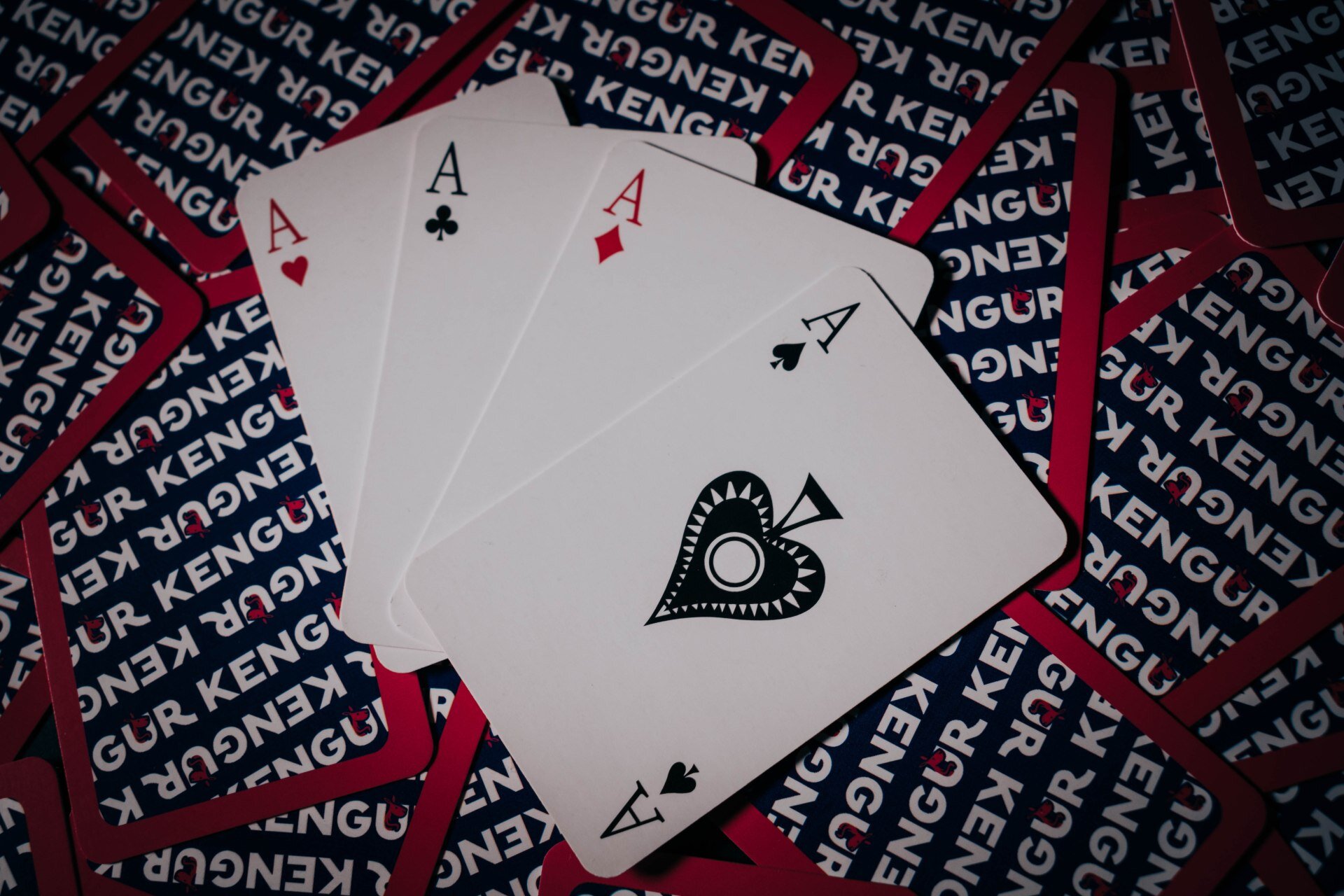 Premium Casino Experience